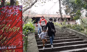 Người dân xếp hàng dài lễ chùa Phật Tích (Bắc Ninh)