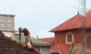 Nghệ An: Bắt đối tượng ngáo đá thả cháu bé 1 tuổi từ mái nhà xuống đất