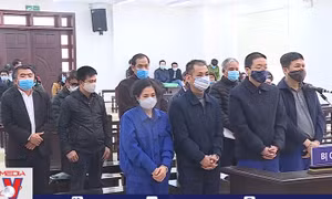 'Thiếu tướng tự phong' Hoa Hữu Long bị phạt tù chung thân