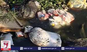 Nhiều khó khăn trong giảm thiểu rác nhựa dùng 1 lần
