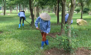 Cuộc sống mới của người dân xã Xuân Quan
