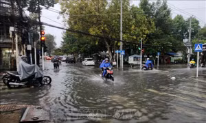 Thời tiết ngày 8/9: Trung Bộ, Nam Bộ mưa dông, đề phòng lũ quét và sạt lở đất