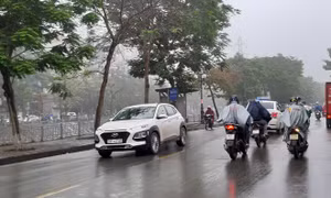Từ ngày 10/1, gió trên các vùng biển giảm dần