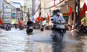 Cảnh báo triều cường ven biển Nam Bộ
