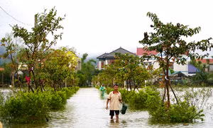 Thời tiết ngày 1/11: Mưa lớn diện rộng ở Trung Bộ, Bắc Bộ trời lạnh và có nơi rét