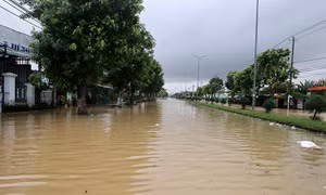 Thời tiết ngày 29/10: Mưa lớn kéo dài từ TP Huế đến Quảng Ngãi, nguy cơ cao lũ quét và sạt lở đất
