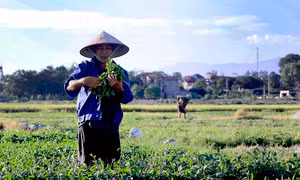 Thời tiết ngày 28/5: Bắc Bộ nắng nóng trước khi đón mưa dông, Nam Bộ mưa to cục bộ