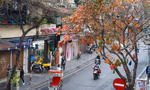 Thời tiết đêm 23/10: Bắc Bộ và Trung Bộ trời lạnh