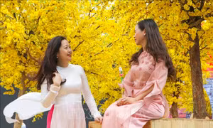 Thời tiết ngày 1 Tết: Bắc Bộ trời rét, Nam Bộ có nơi nắng nóng