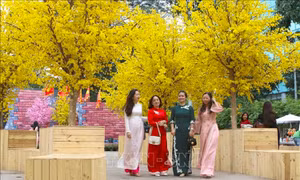Thời tiết ngày 26/3: Bắc Bộ có sương mù buổi sáng, gia tăng nắng nóng từ cuối tháng 3