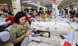 Kinh tế vĩ mô Việt Nam kiên trì cải cách trong bối cảnh thế giới bất định