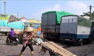 ‘Nóng’ không để ‘chìm xuồng’ vụ bảo kê chợ Long Biên, cá độ bóng đá qua mạng gần 600 tỷ đồng