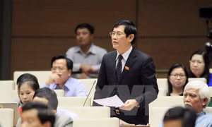 Bí thư không phải người địa phương sẽ xóa bỏ tình trạng cục bộ, lợi ích nhóm