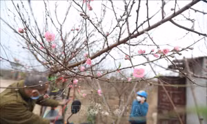 Những ngày giáp Tết