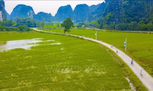 Có những con đường mang tên nỗi nhớ