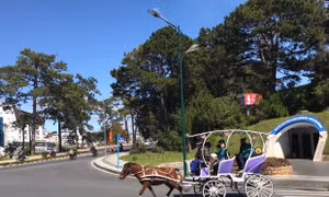 Con ngựa dưới chân thác