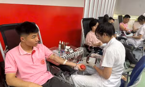 'Giọt hồng tri ân', sợi dây kết nối lòng nhân ái