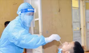 Cảnh giác mầm bệnh bạch hầu vẫn lưu hành trong cộng đồng
