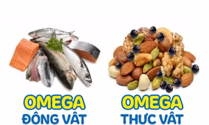 Có nên bổ sung Omega để hỗ trợ trẻ phát triển trí não?