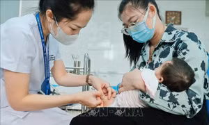 Bệnh viêm não Nhật Bản lây truyền và nguy hiểm như thế nào?