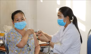 Tiêm liều cơ bản bằng vaccine Vero Cell có thể tiêm mũi bổ sung bằng những vaccine nào? 