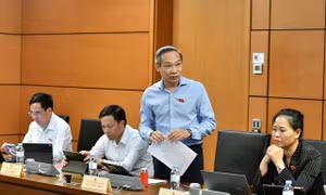 Áp dụng thuế tiêu thụ đặc biệt với rượu, bia: Cần thời gian để thay đổi hành vi