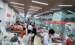 Giải quyết kịp thời, đầy đủ quyền lợi của người tham gia BHXH, BHYT sau bão số 3