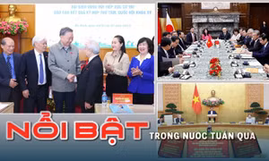 Nổi bật tuần qua: Xét xử phúc thẩm vụ án Vạn Thịnh Phát giai đoạn 1; Ghi nhận nhiều ca tử vong do cúm ở Bình Định