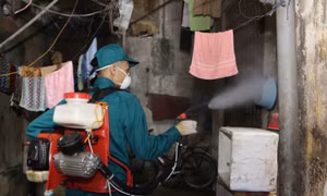 Hà Nội: Các tháng tới, dịch sốt xuất huyết có thể sẽ phức tạp