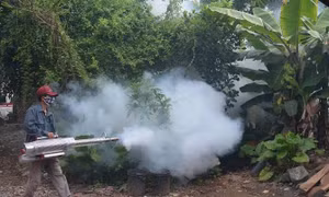 Hà Nội kiểm soát các dịch bệnh ở mức cao nhất, không để ảnh hưởng đến lễ kỷ niệm Quốc khánh 2/9