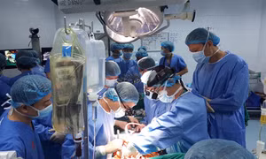 Những cuộc hồi sinh kỳ diệu