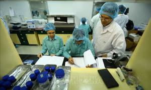 Việt Nam không ghi nhận ca mắc COVID-19 mới; hơn 13.000 người đang cách ly phòng dịch 