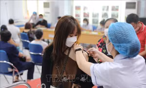 Tăng tốc tiêm vaccine COVID-19 khi kháng thể bảo vệ giảm theo thời gian