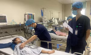 Hướng dẫn phòng bệnh viêm não Nhật Bản