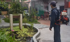Những bệnh viện nào của Hà Nội tiếp nhận điều trị người bệnh sốt xuất huyết?