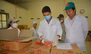 Phát hiện 51 cơ sở thực phẩm không phép tại huyện Thạch Thất