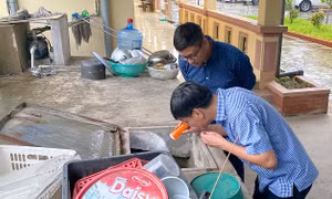 Hà Nội còn 110 ổ dịch sốt xuất huyết đang hoạt động