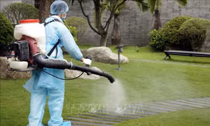 Hải Phòng khoanh vùng cách ly, khử trùng khu vực liên quan đến hành khách đi chuyến bay VN0054 