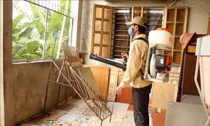 Không tự ý điều trị sốt xuất huyết tại nhà, dễ gây biến chứng nặng