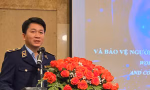 Bảo vệ người tiêu dùng trên môi trường thương mại điện tử