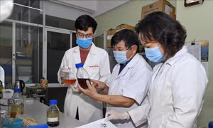 Viện Hàn lâm KHCN Việt Nam yêu cầu doanh nghiệp thay đổi tên thực phẩm bảo vệ sức khỏe VIPDERVIR-C