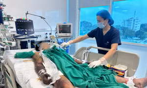 Sau khi ăn tiết canh, nam thanh niên suy đa tạng, nguy kịch vì nhiễm liên cầu lợn