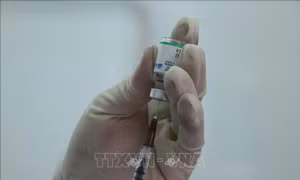 Đã có 6 loại vaccine phòng COVID-19 được Bộ Y tế cấp phép sử dụng tại Việt Nam