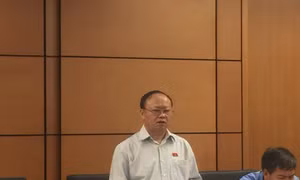 Phát triển kinh tế miền núi sẽ khó đạt mục tiêu nếu vẫn chỉ hỗ trợ gia súc, gia cầm