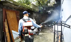 Bình Phước: Giám sát chặt và xử lý triệt để các ổ bệnh sốt xuất huyết