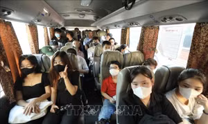 Làm thế nào đỡ say xe khi tham gia giao thông trong dịp nghỉ Tết?