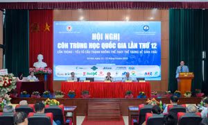 Bệnh do côn trùng gây ra vẫn đang là vấn nạn rất lớn