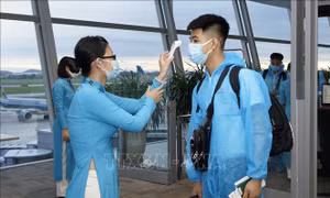 Sáng 24/9/2020, Việt Nam không ghi nhận ca mắc COVID-19 mới 