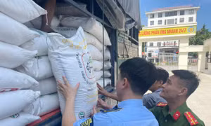 Phát hiện 3 tấn đường cát nhập lậu tại Nghệ An