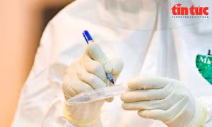 Việt Nam ghi nhận ca đầu tiên nhiễm virus SARS-CoV-2 biến chủng Nam Phi